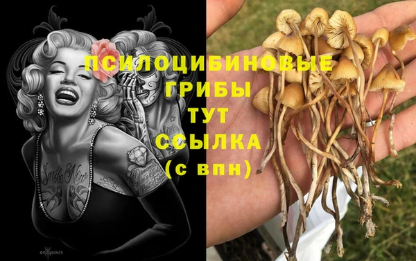 jwh Армянск