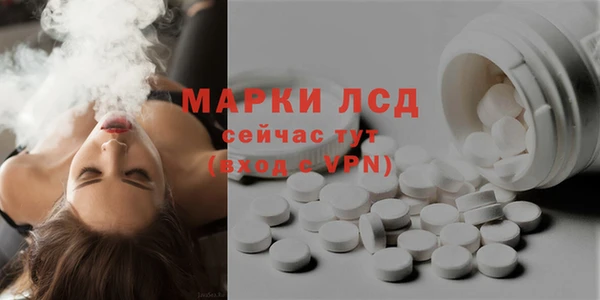 spice Аркадак