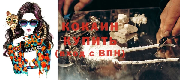 spice Аркадак