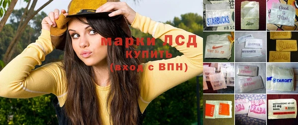 spice Аркадак