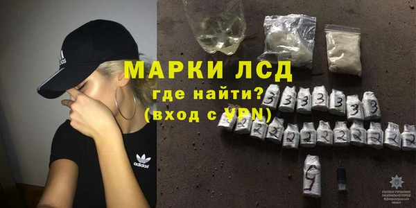 spice Аркадак